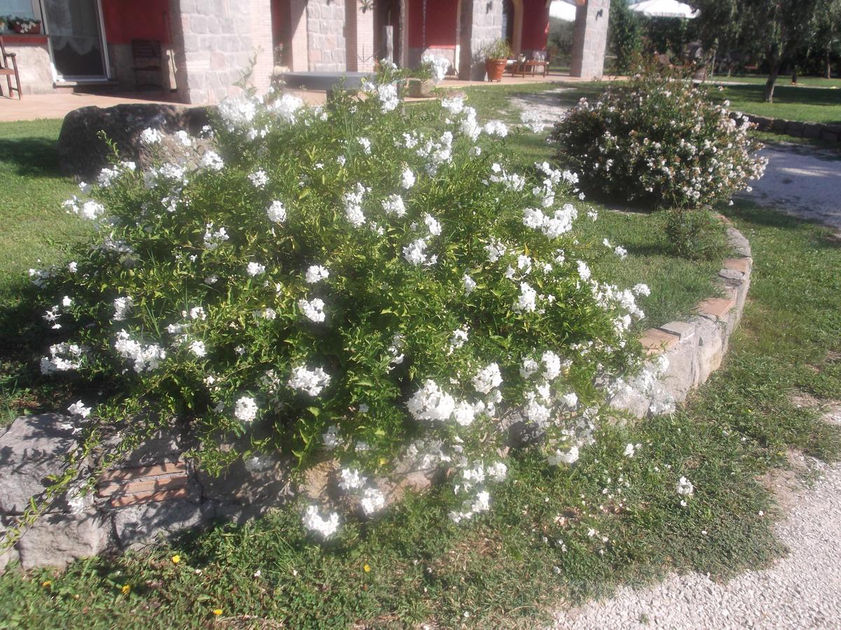 Agriturismo Casal Grande Canepina المظهر الخارجي الصورة